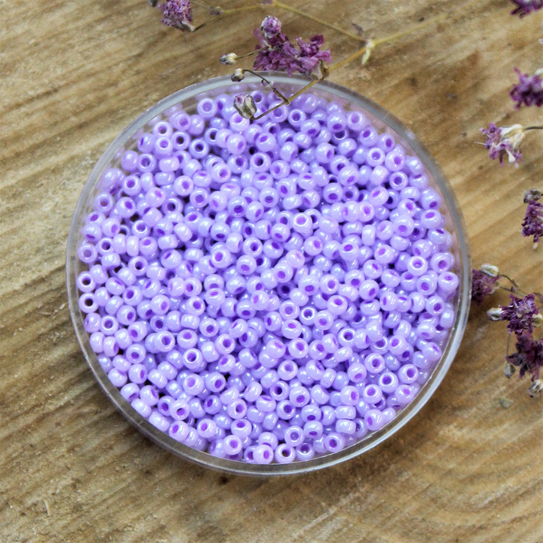 MR11-534 Ceylon lavender 10 grams
