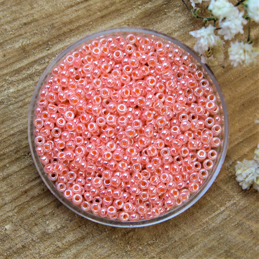 MR11-539 Ceylon salmon 10 grams