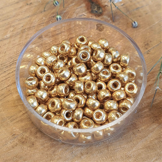 MR6-4202 Duracoat galvanized gold 10 gram