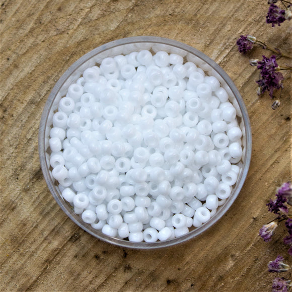 MR8-402 Opaque white 10 gram