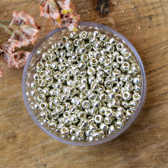 MR8-4201 Duracoat galvanized silver 10 gram