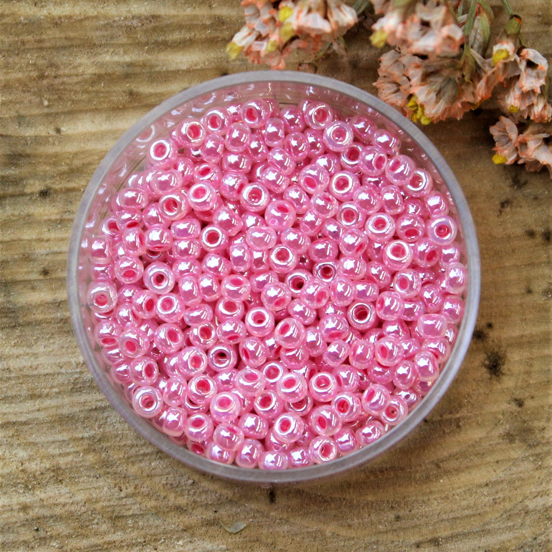 MR8-535 Ceylon carnation pink 10 grams
