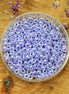 MR8-538 Ceylon lilac 10 gram