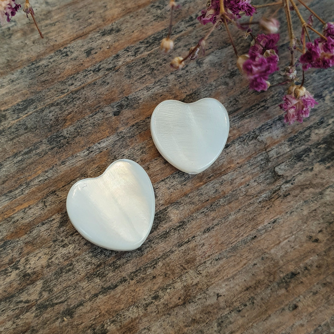 Trochus schelpkraal hart
