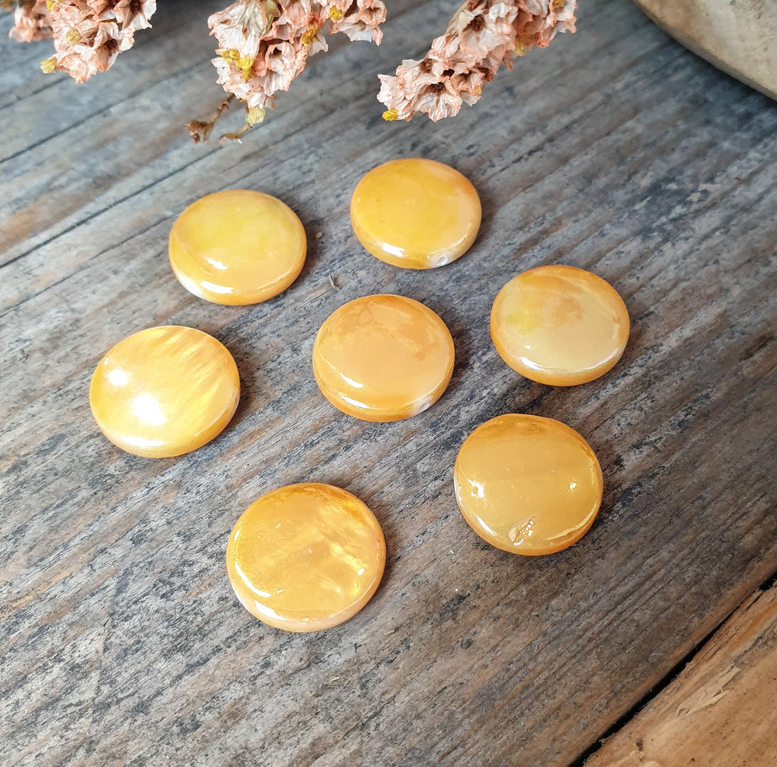 Perlmutt Muschel orange