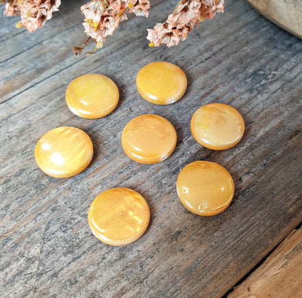 Perlmutt Muschel orange