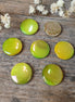 Parelmoer schelpje groen