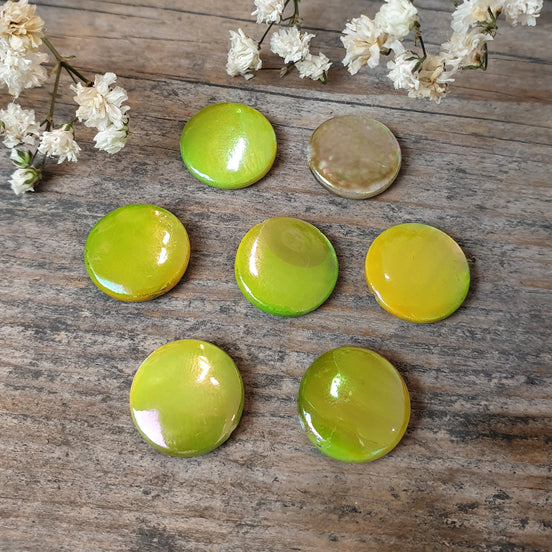 Parelmoer schelpje groen