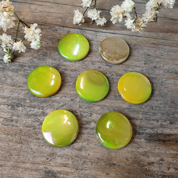Parelmoer schelpje groen
