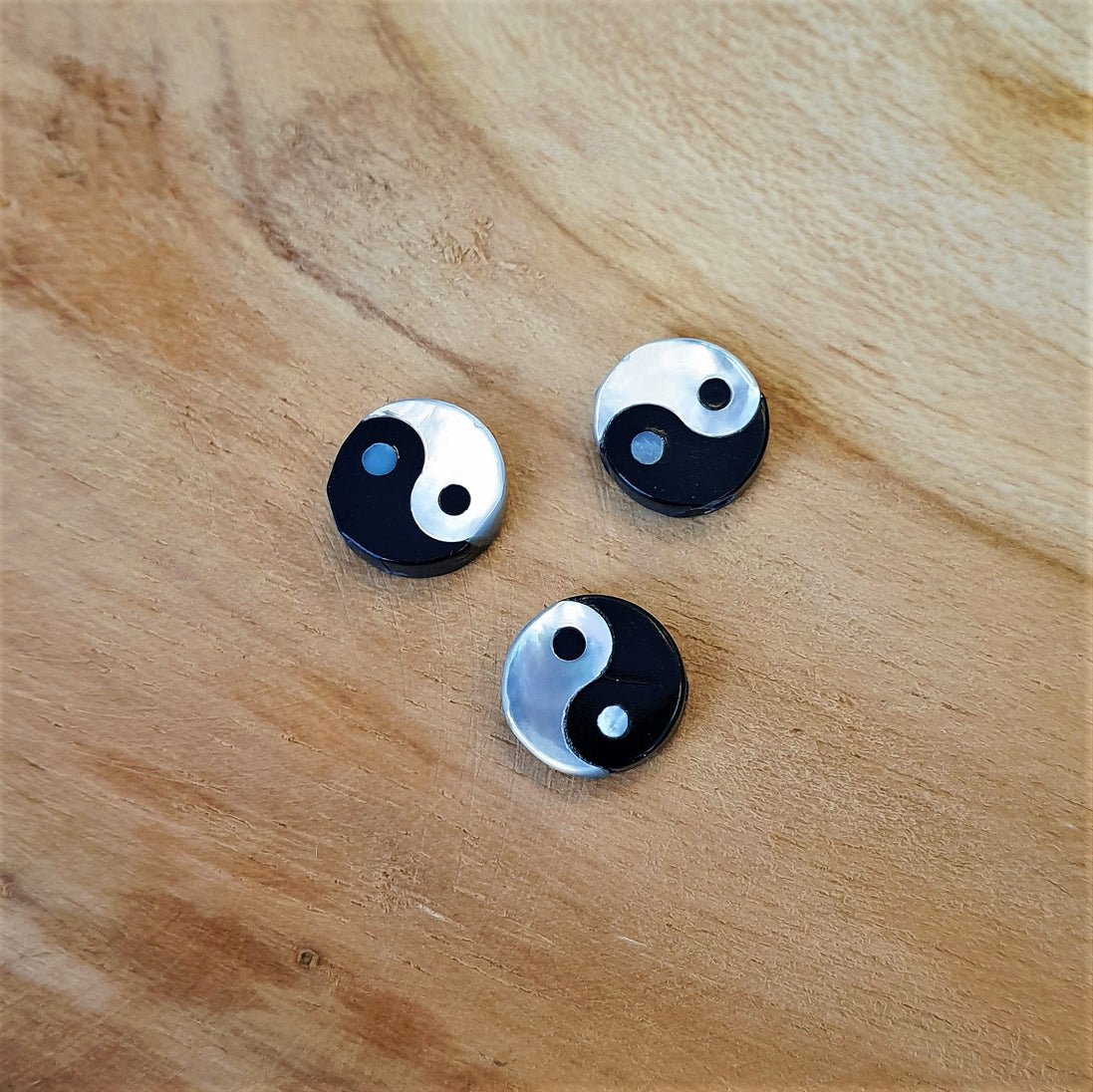 Yin Yang Muschel